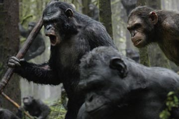 El planeta de los simios: Confrontación