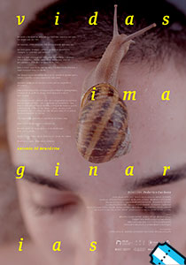 Vidas Imaginarias