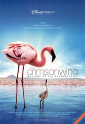 The Crimson Wing: Mystery of the Flamingos