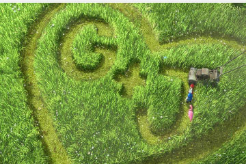 Gnomeo y Julieta 3D