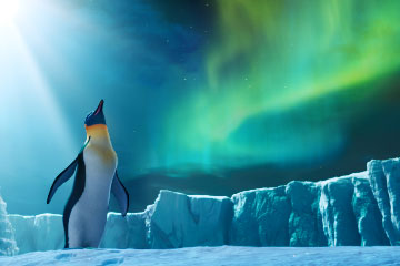 Happy Feet 2: El pingüino 3D