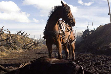 Caballo de guerra