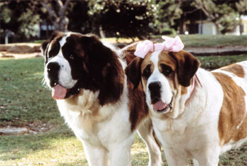 Beethoven 2