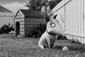 Frankenweenie