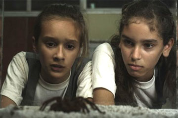 La inocencia de la araña