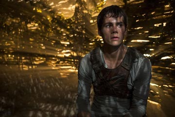 Maze Runner