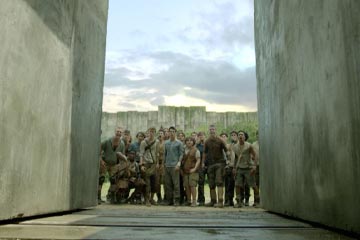 Maze Runner