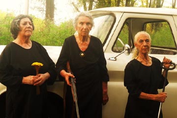 Flores de ruina