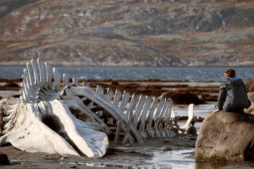 Leviathan