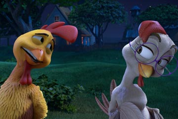 Un gallo con muchos huevos