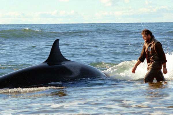El faro de las orcas