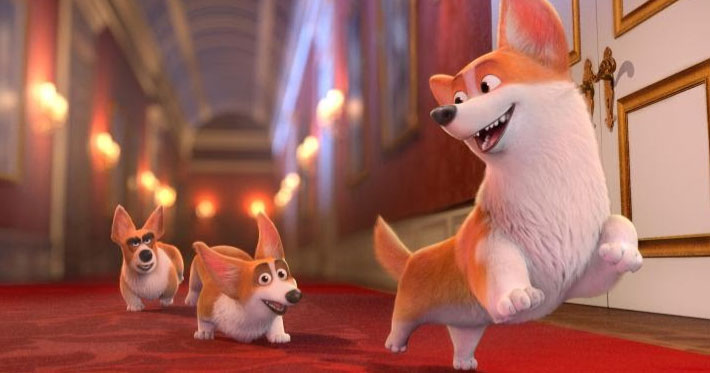 Corgi: de príncipe a callejero