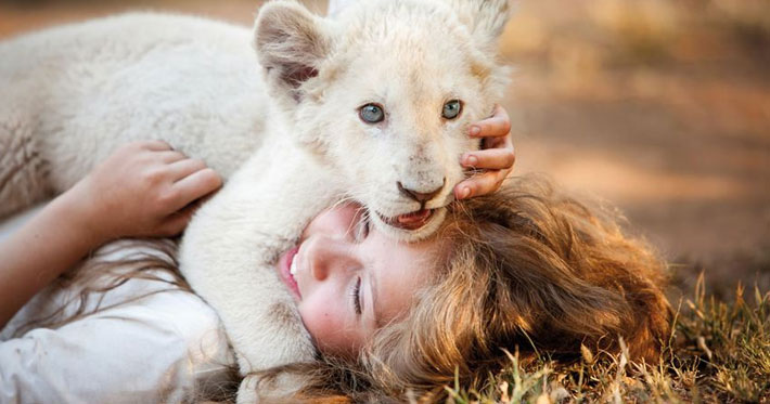 Mi mascota es un león