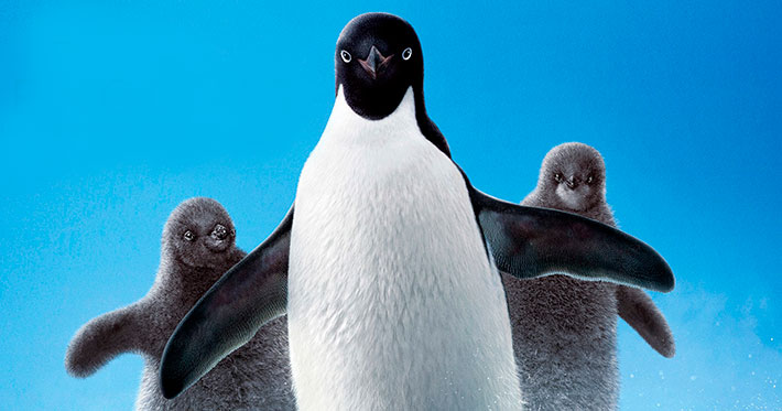 Pingüinos