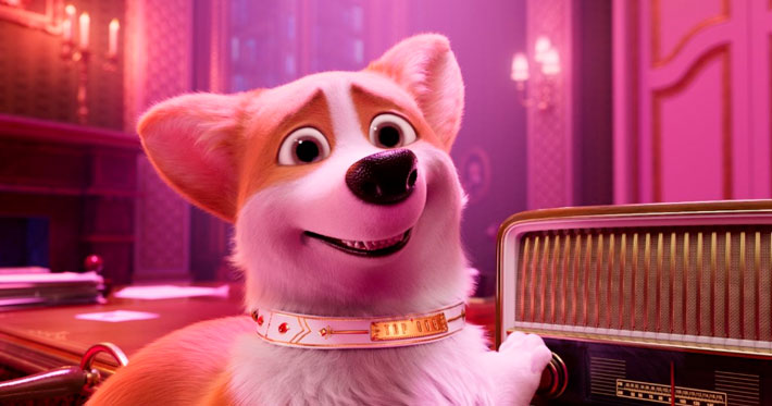 Corgi: de príncipe a callejero