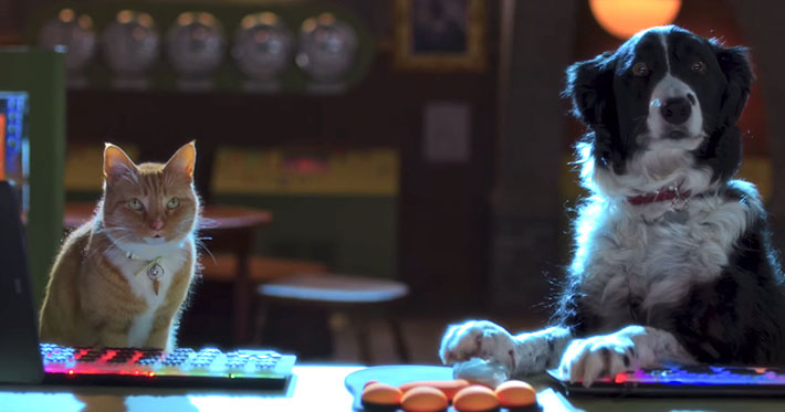 Como perros y gatos 3