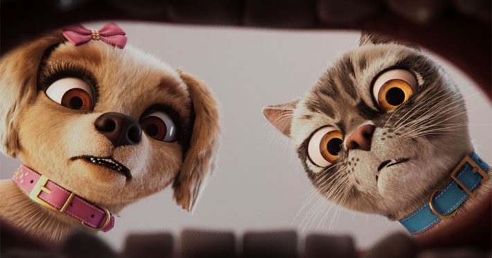 Mascotas en apuros