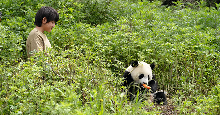 MOON: Mi amigo el panda