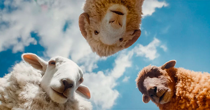 Las ovejas detectives