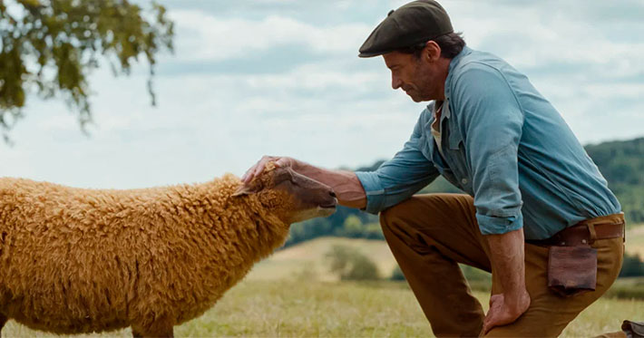 Las ovejas detectives