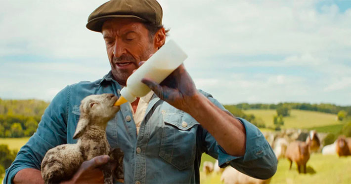 Las ovejas detectives