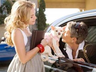 Una chihuahua de Beverly Hills