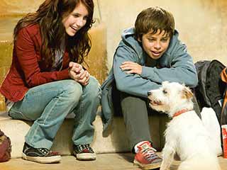 Hotel para perros